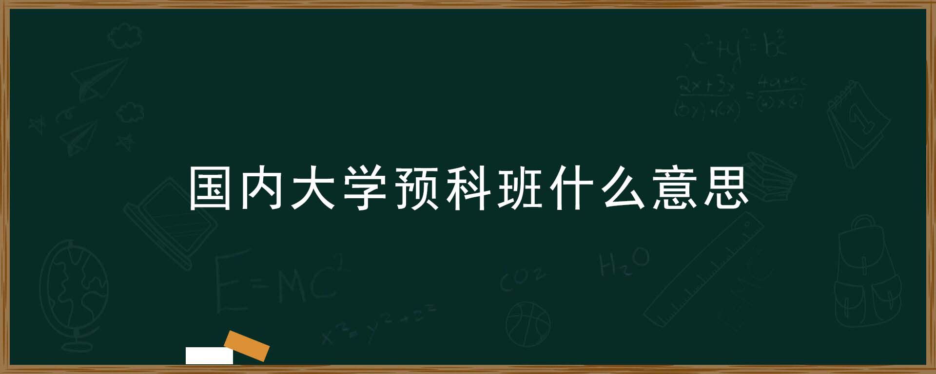 国内大学预科班什么意思