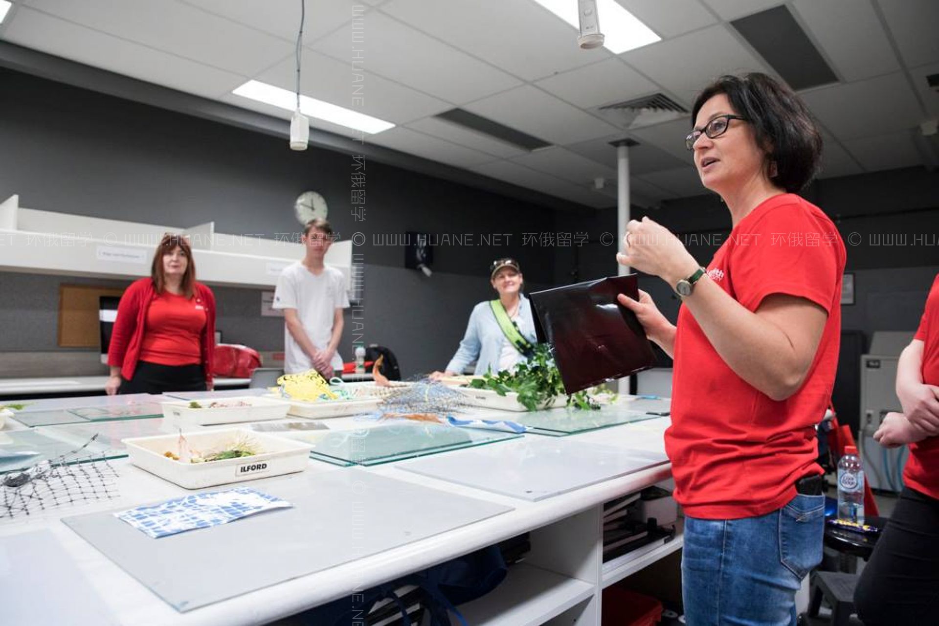 格林菲斯大学