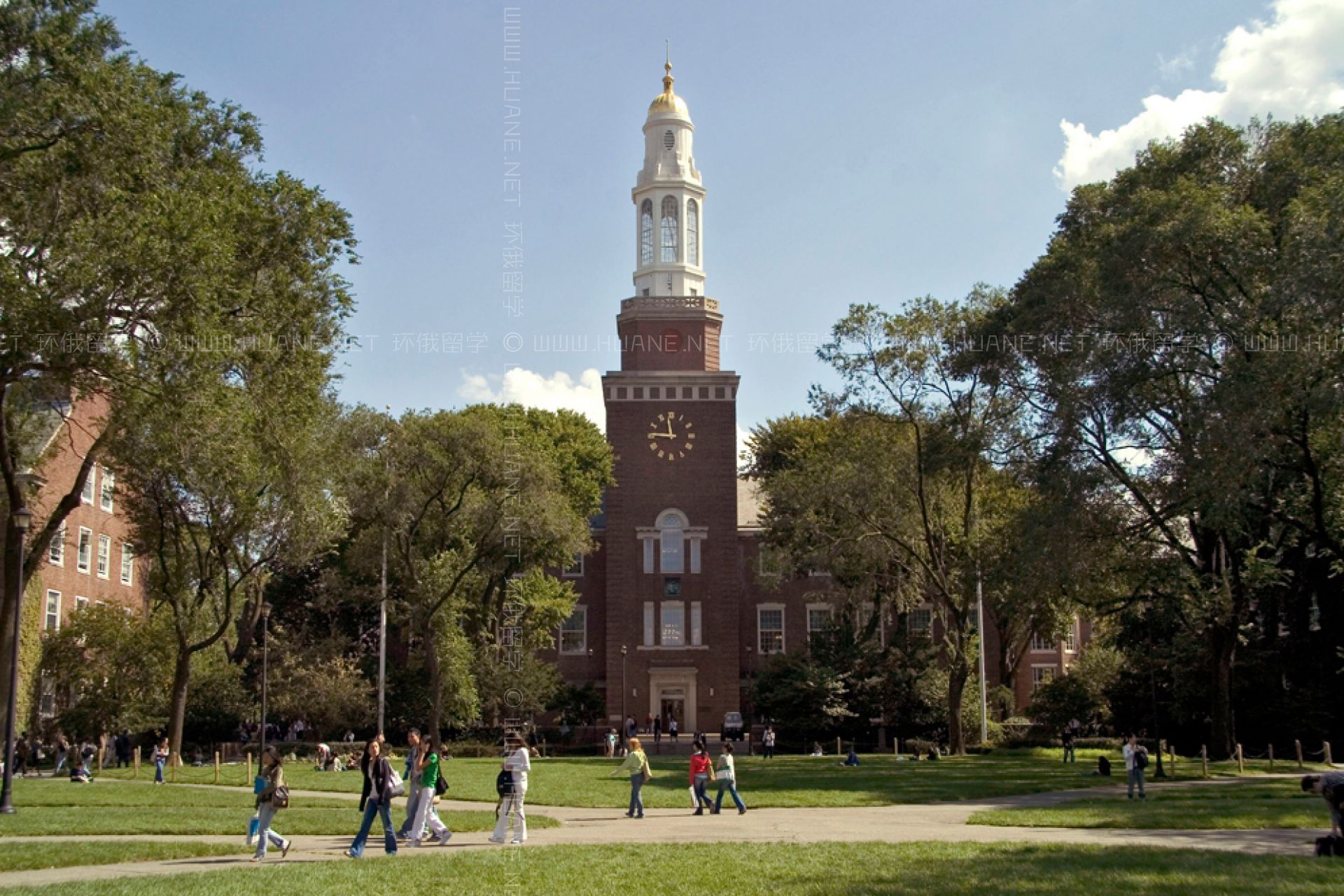 纽约布鲁克林大学图片