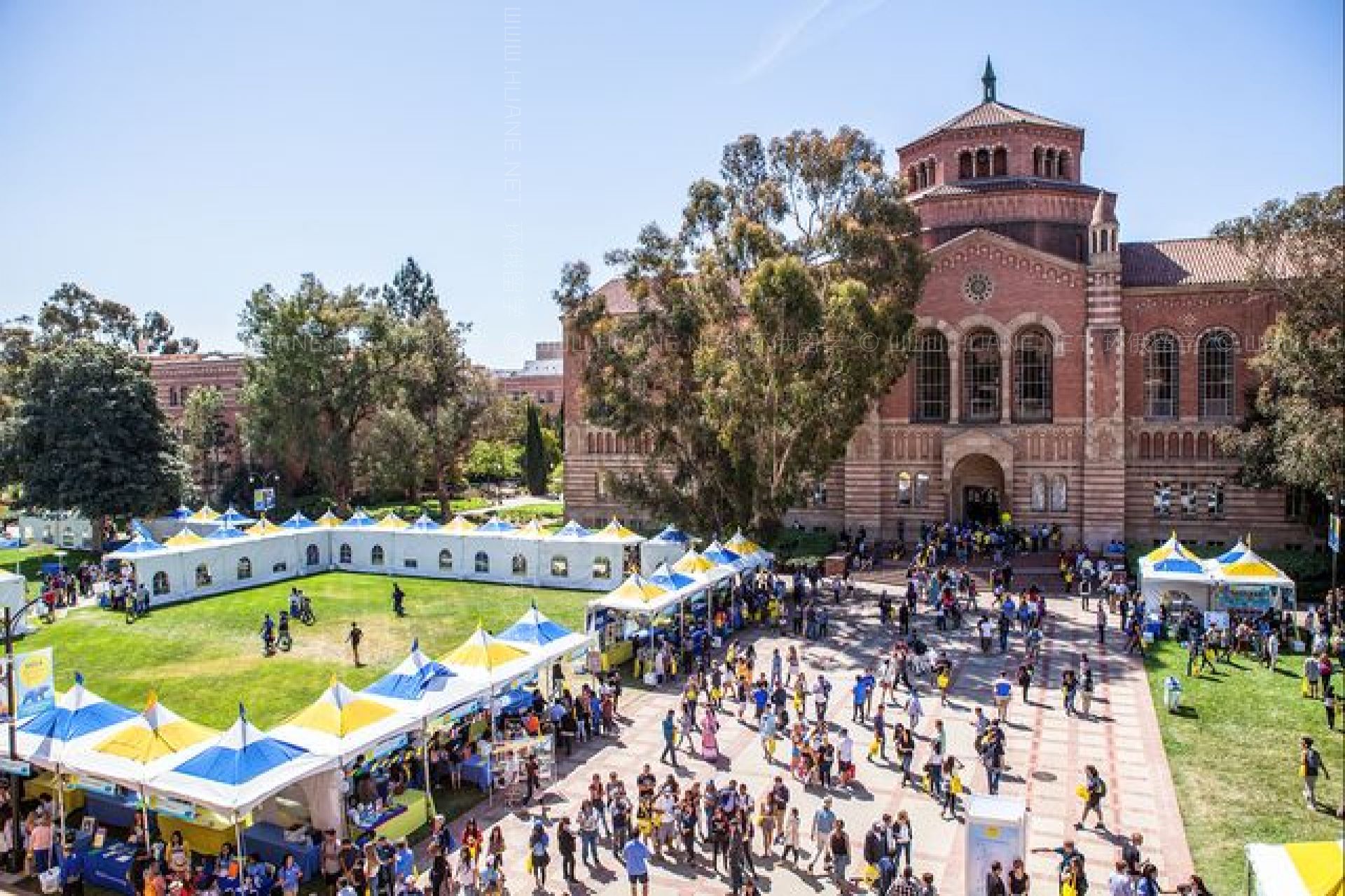 Калифорнийский университет. UCLA, Лос-Анджелес. Университет в Лос Анджелесе UCLA. Калифорнийский университет в Лос-Анджелесе кампус. ЮСИЭЛЭЙ университет в Америке.