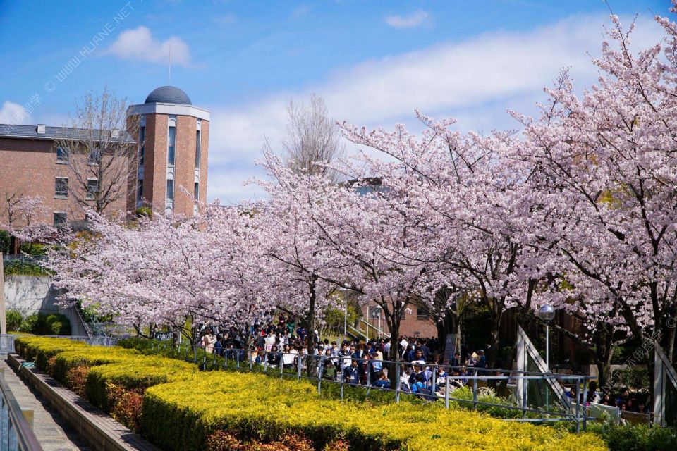 不会选日本留学语言学校，因为你们不知道这7个技巧！