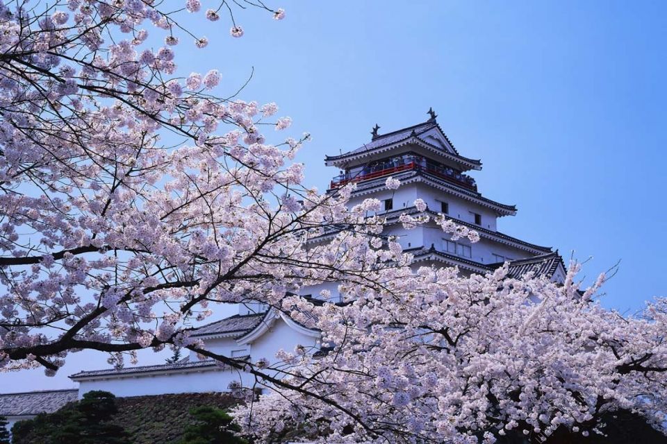 有许多韩国大学被大家所熟知，不过很多人不太了解韩国祥明大学，想知道这所大学怎么样？