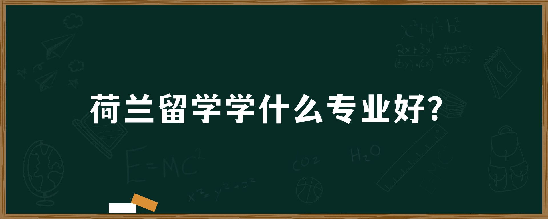 荷兰留学学什么专业好？