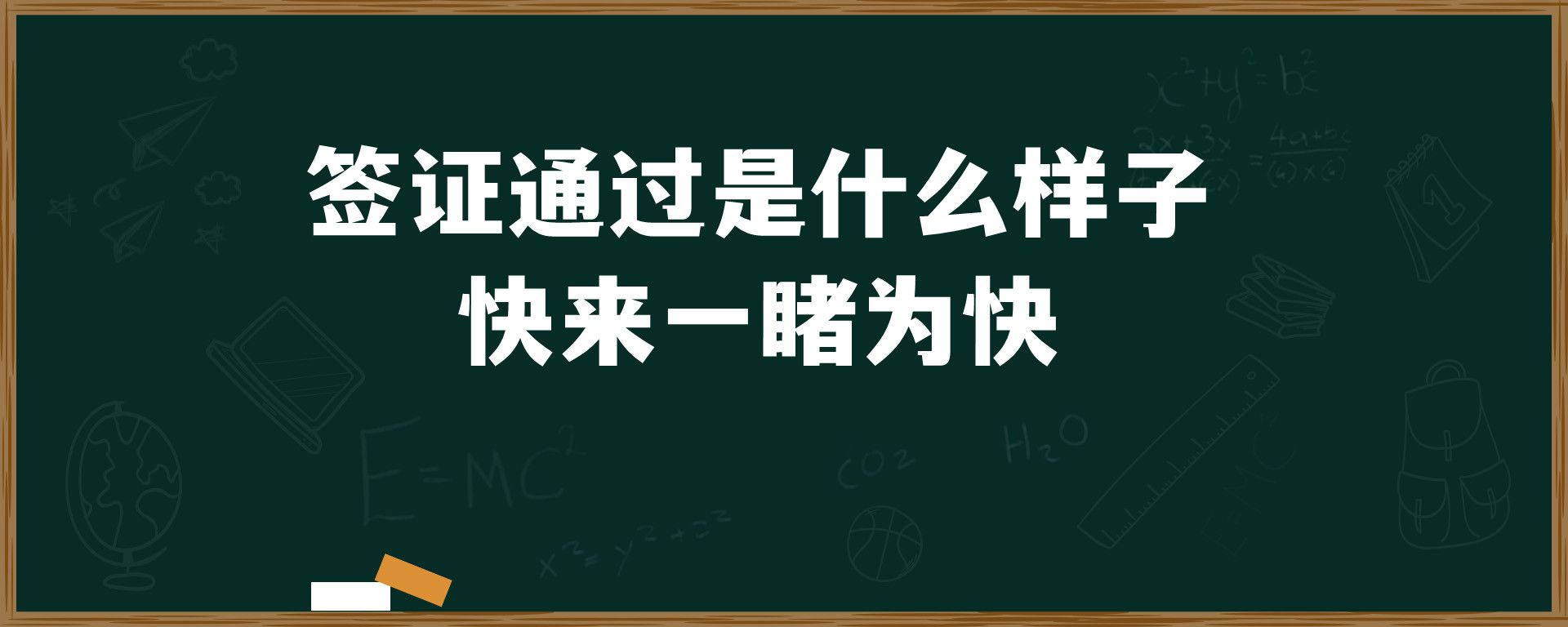 签证通过是什么样子 ，快来一睹为快！