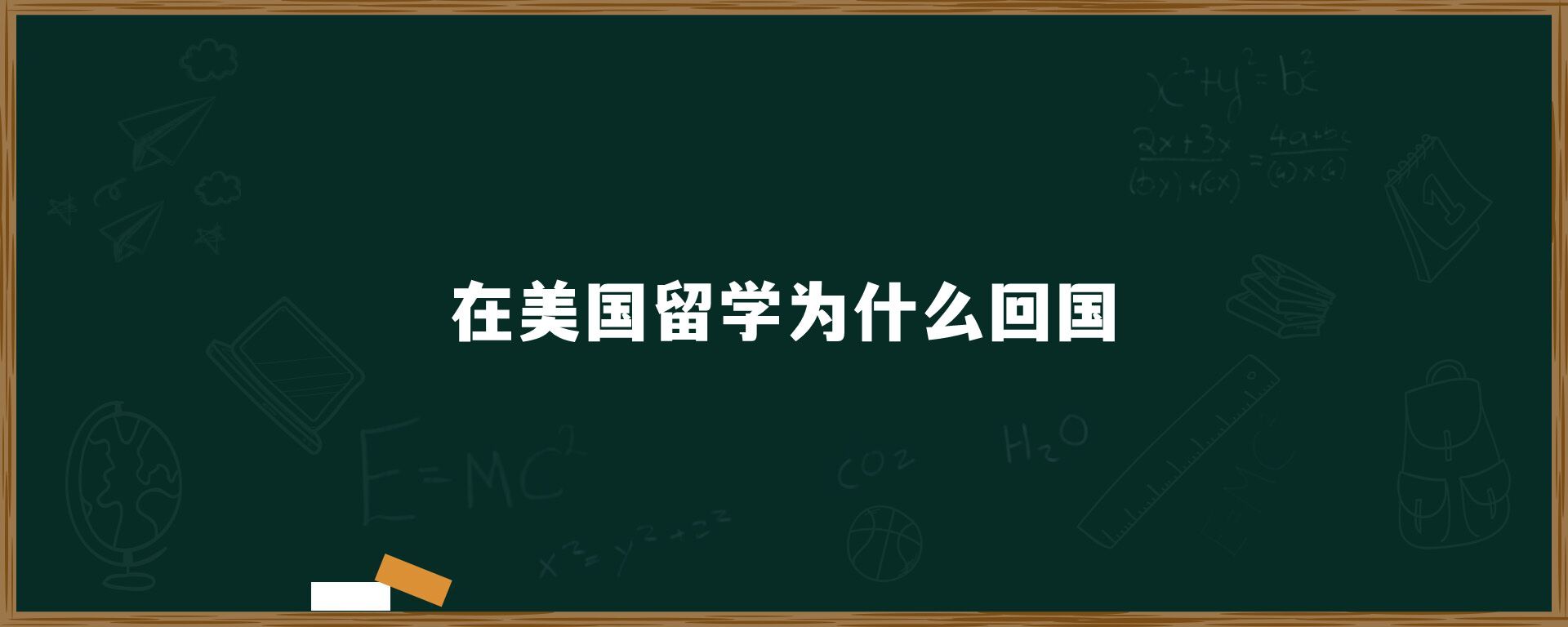 在美国留学为什么回国