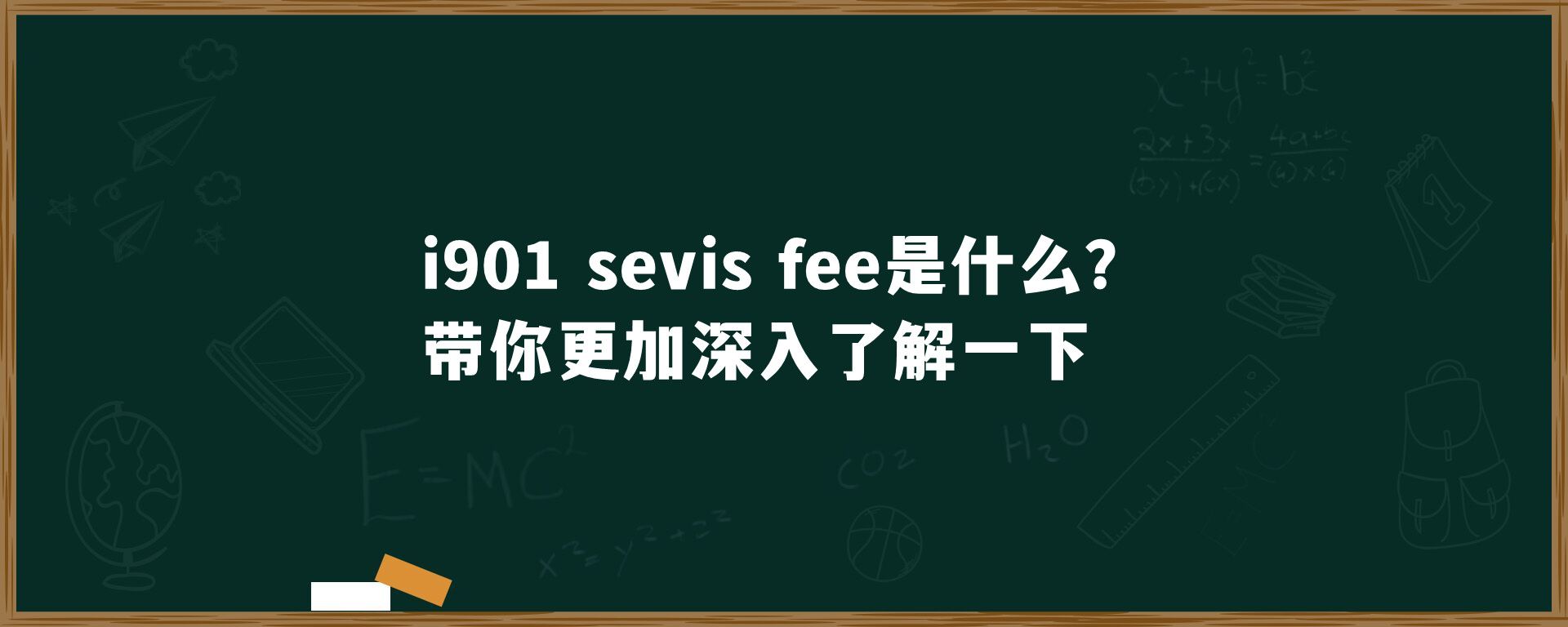 i901 sevis fee是什么？带你更加深入了解一下