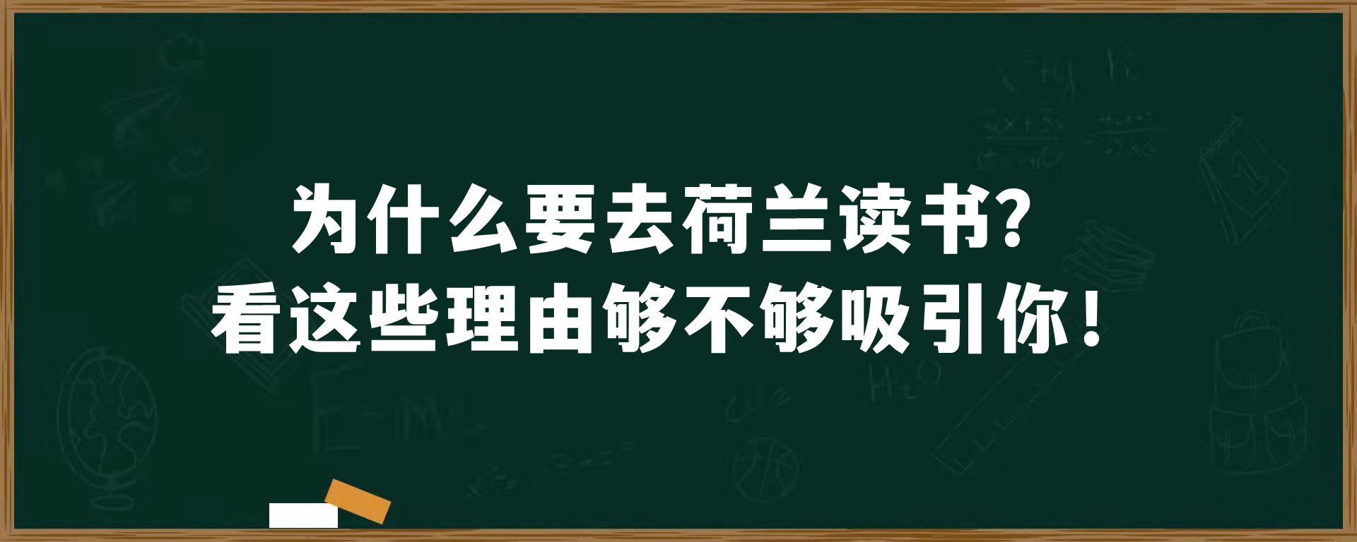 为什么要去荷兰读书？看这些理由够不够吸引你！