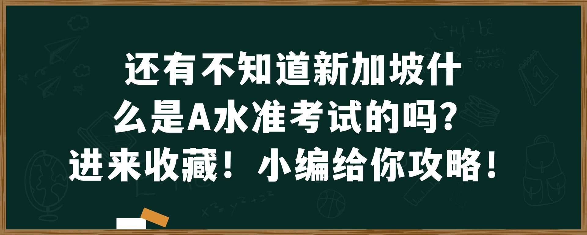 还有不知道新加坡什么是A水准考试的吗？进来收藏！小编给你攻略！