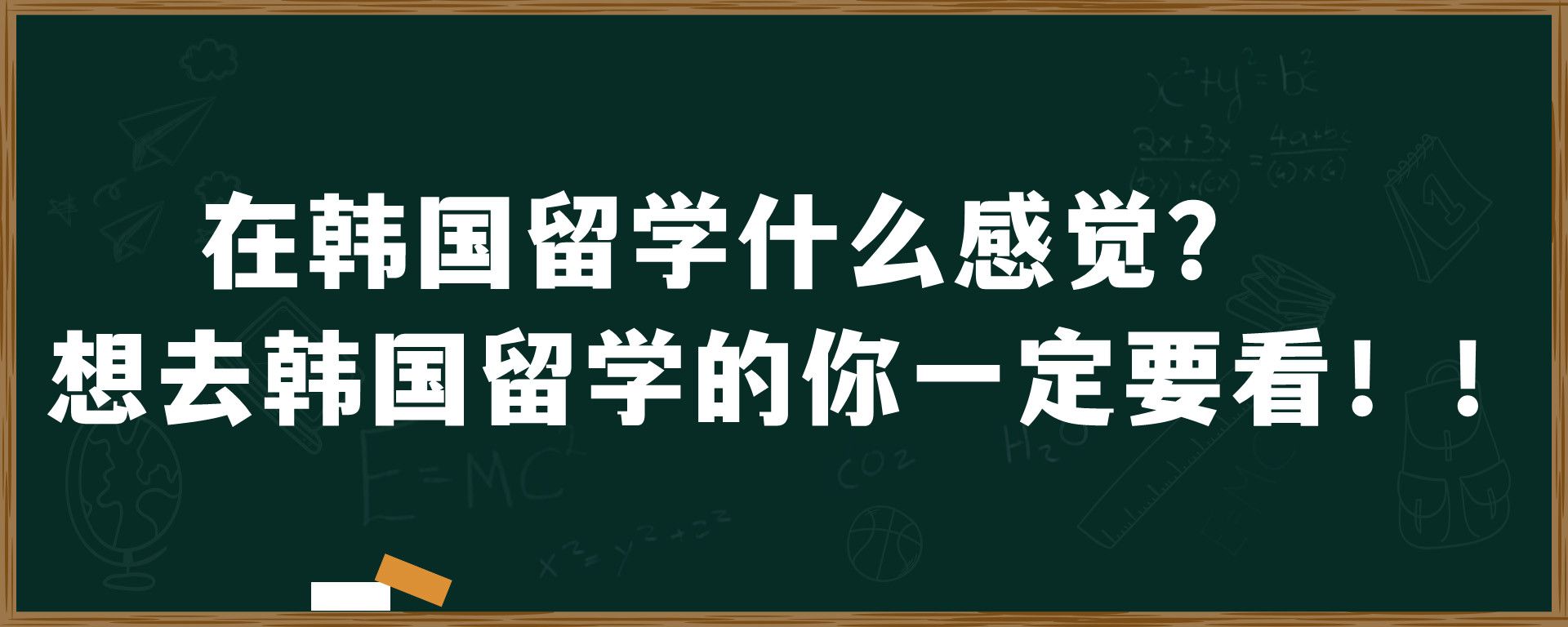 在韩国留学什么感觉？想去韩国留学的你一定要看！！