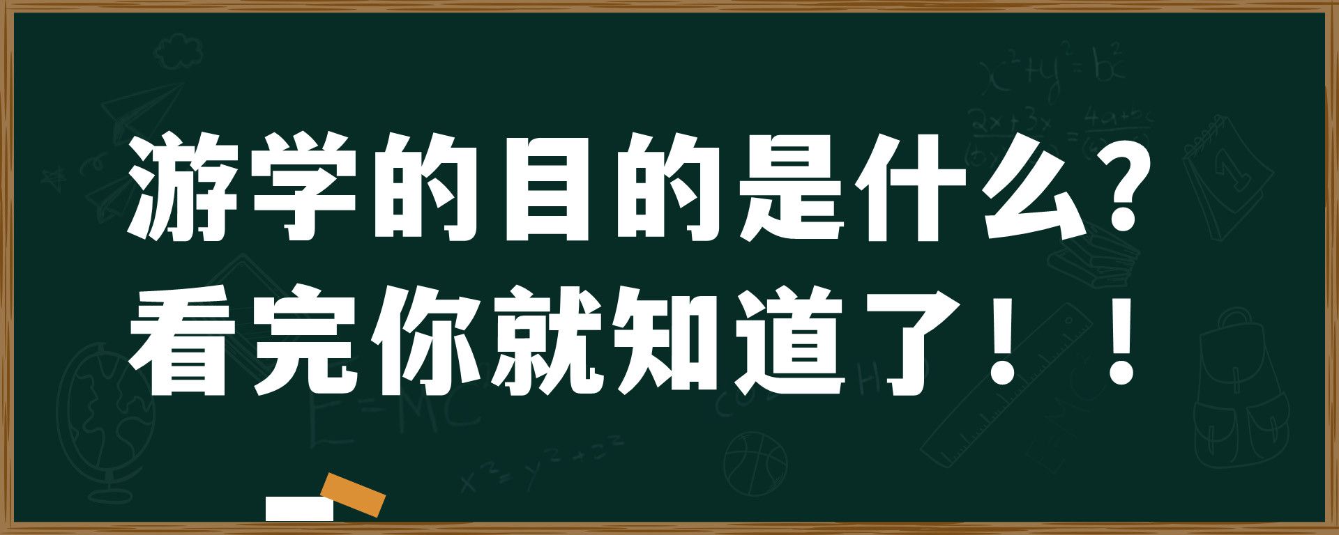 游学的目的是什么？看完你就知道了！！