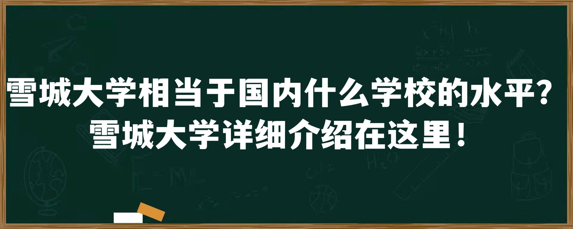 雪城大学相当于国内什么学校的水平？雪城大学详细介绍在这里！