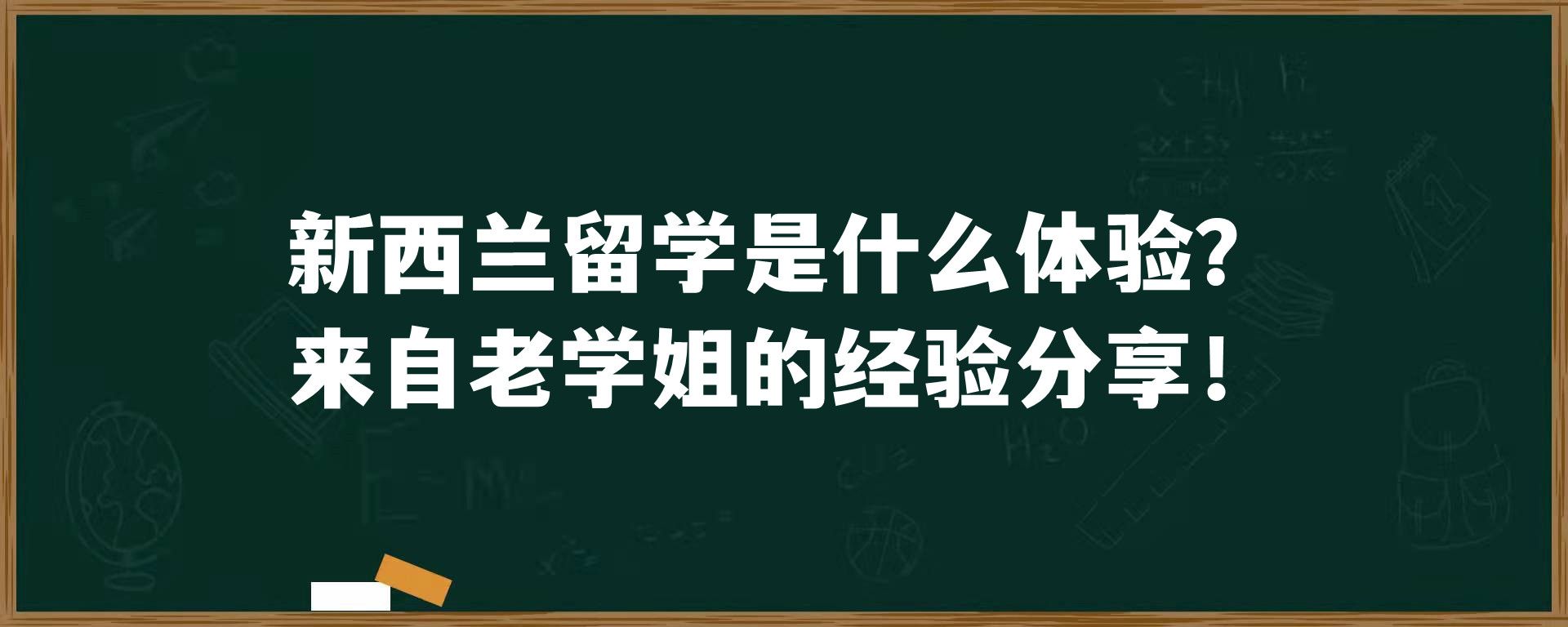 新西兰留学是什么体验？来自老学姐的经验分享！