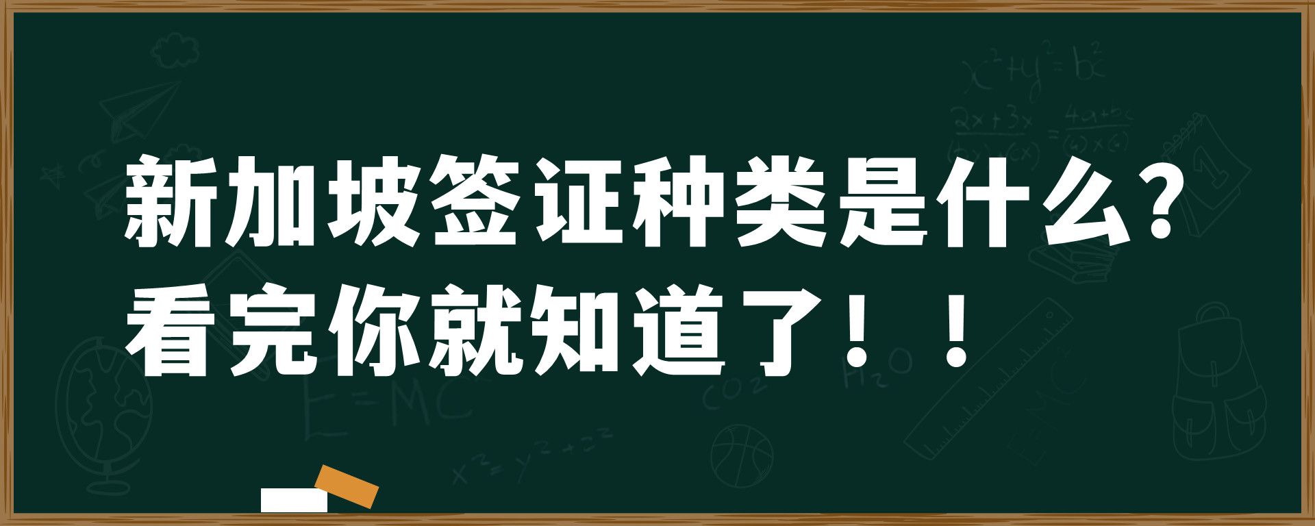 新加坡签证种类是什么？看完你就知道了！！