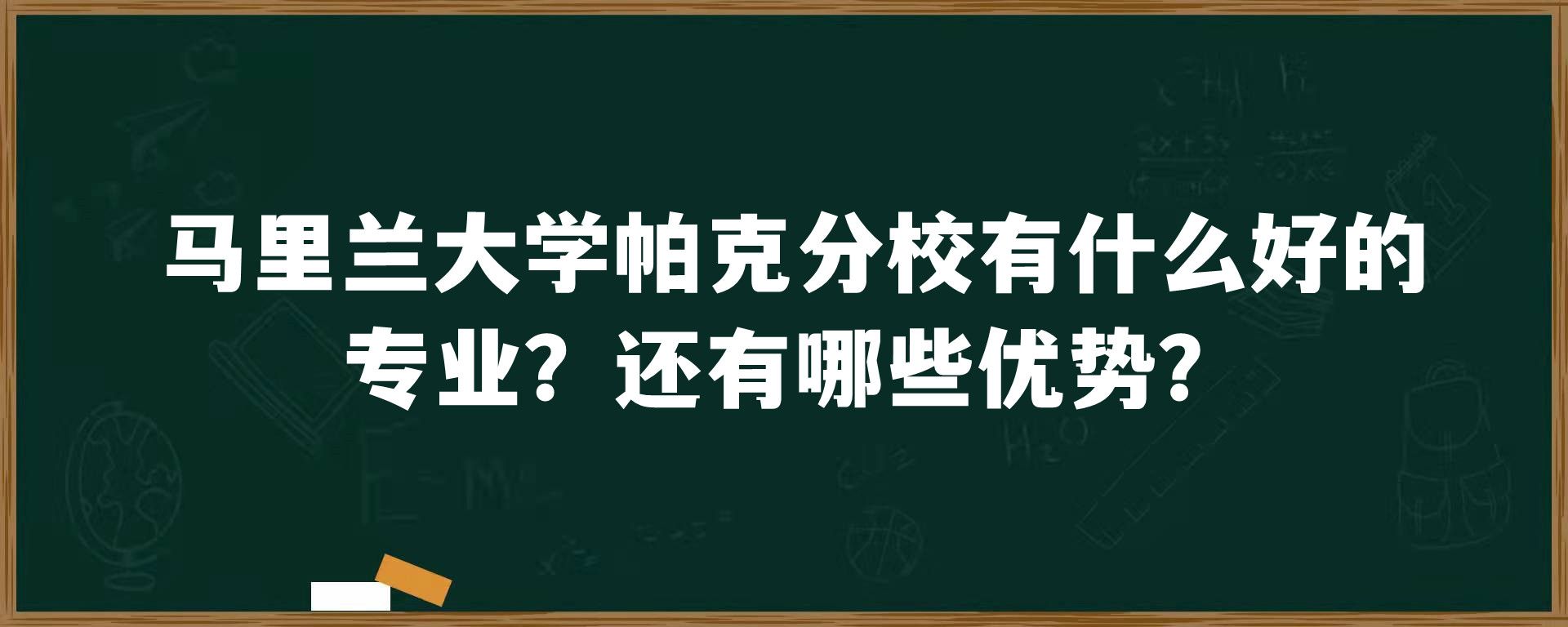 马里兰大学帕克分校有什么好的专业？还有哪些优势？