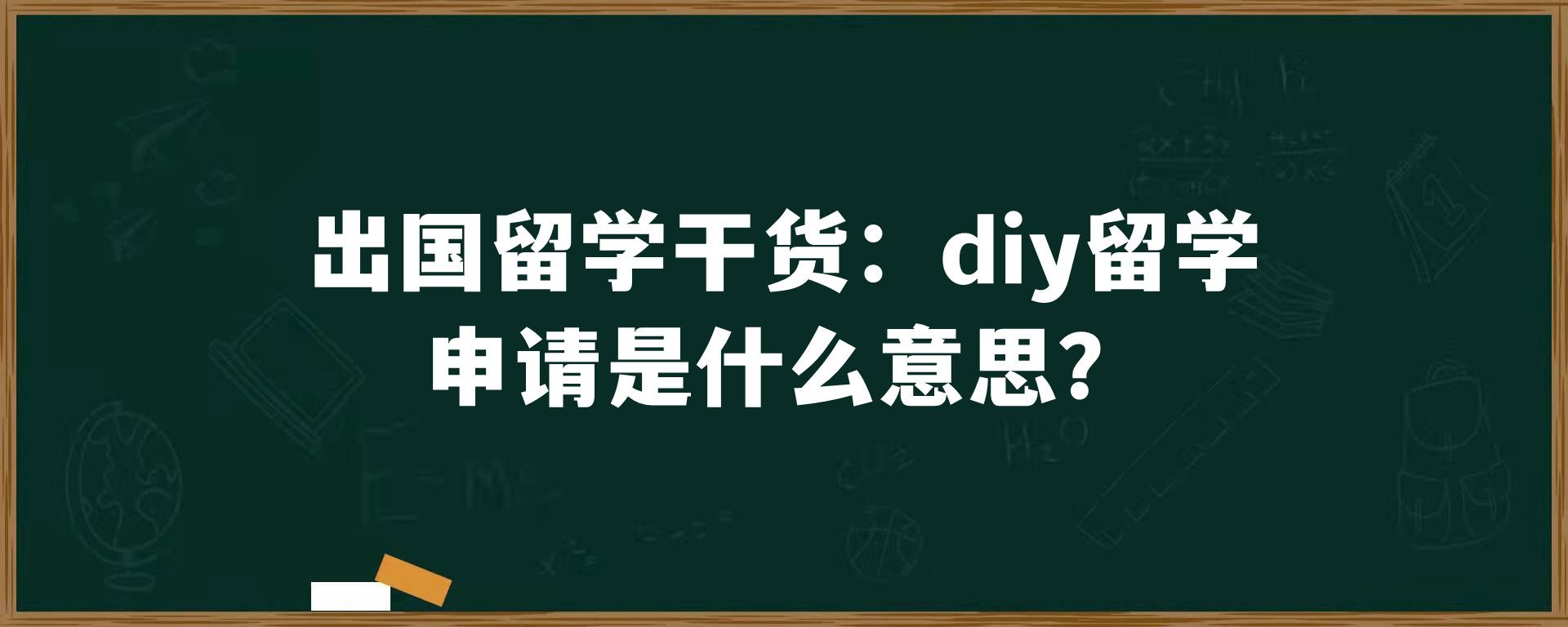 出国留学干货：diy留学申请是什么意思？