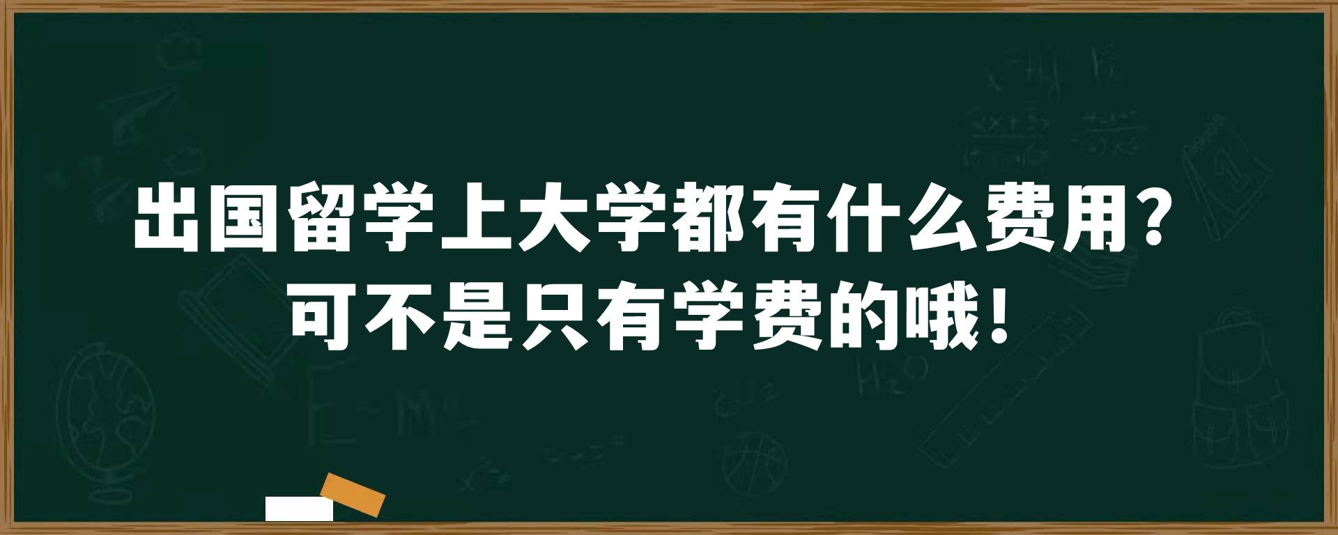 出国留学上大学都有什么费用？可不是只有学费的哦！