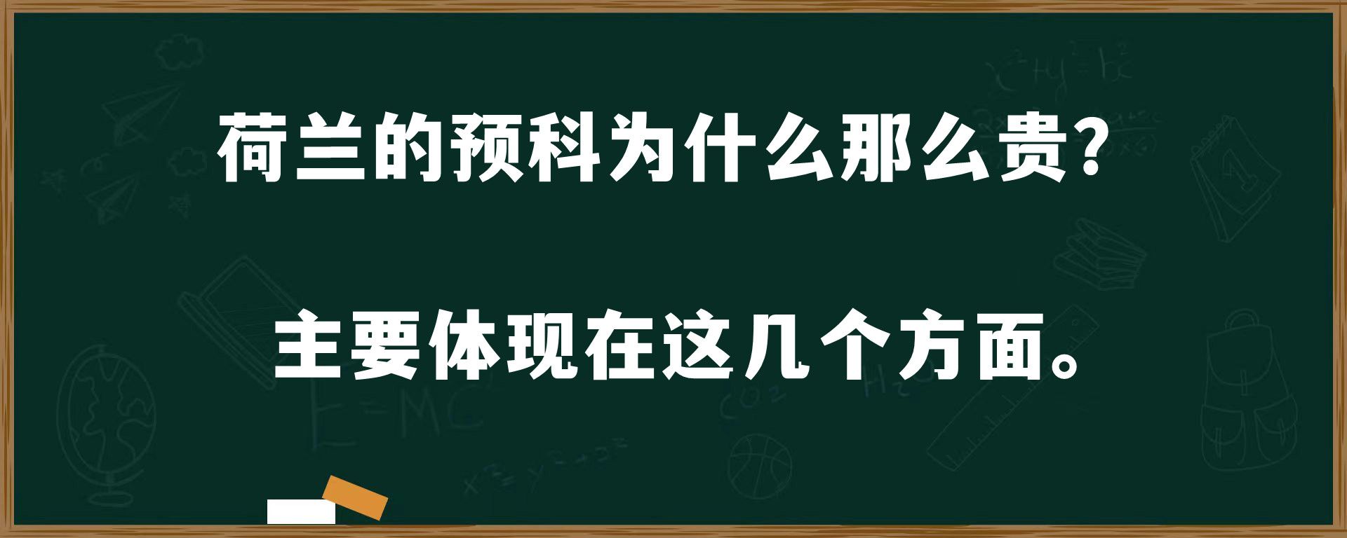 荷兰的预科为什么那么贵？主要体现在这几个方面。