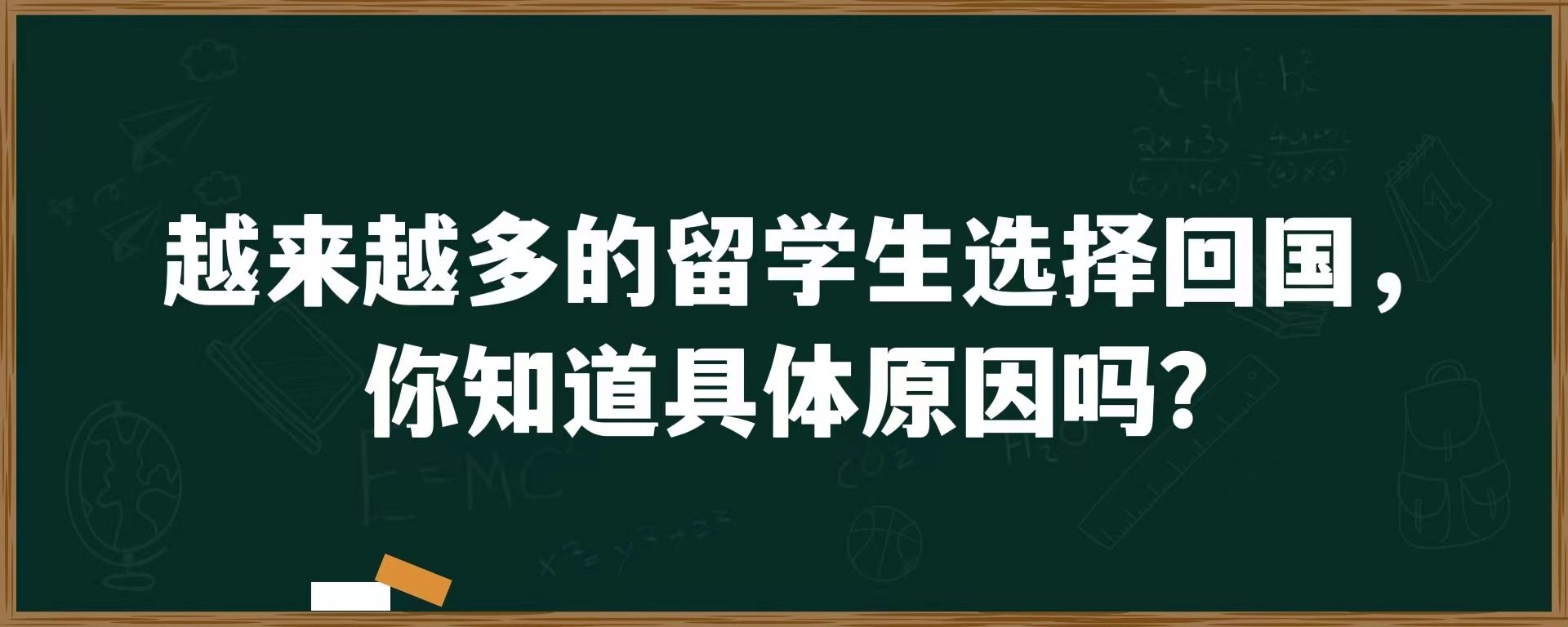 越来越多的留学生选择回国，你知道具体原因吗？