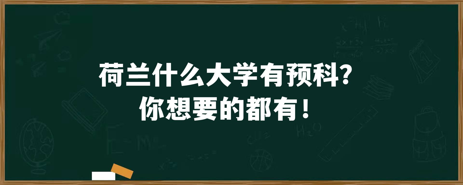 荷兰什么大学有预科？你想要的都有！