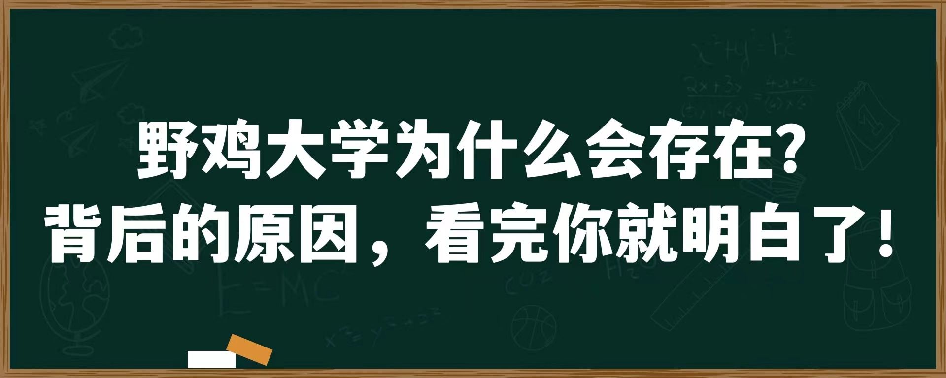 野鸡大学为什么会存在？背后的原因，看完你就明白了！