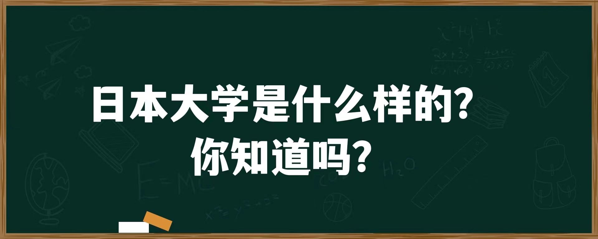 日本大学是什么样的？你知道吗？