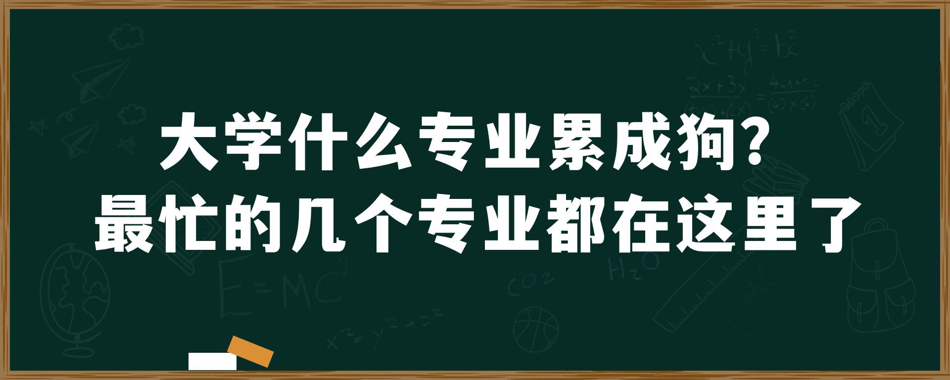 大学什么专业累成狗？最忙的几个专业都在这里了