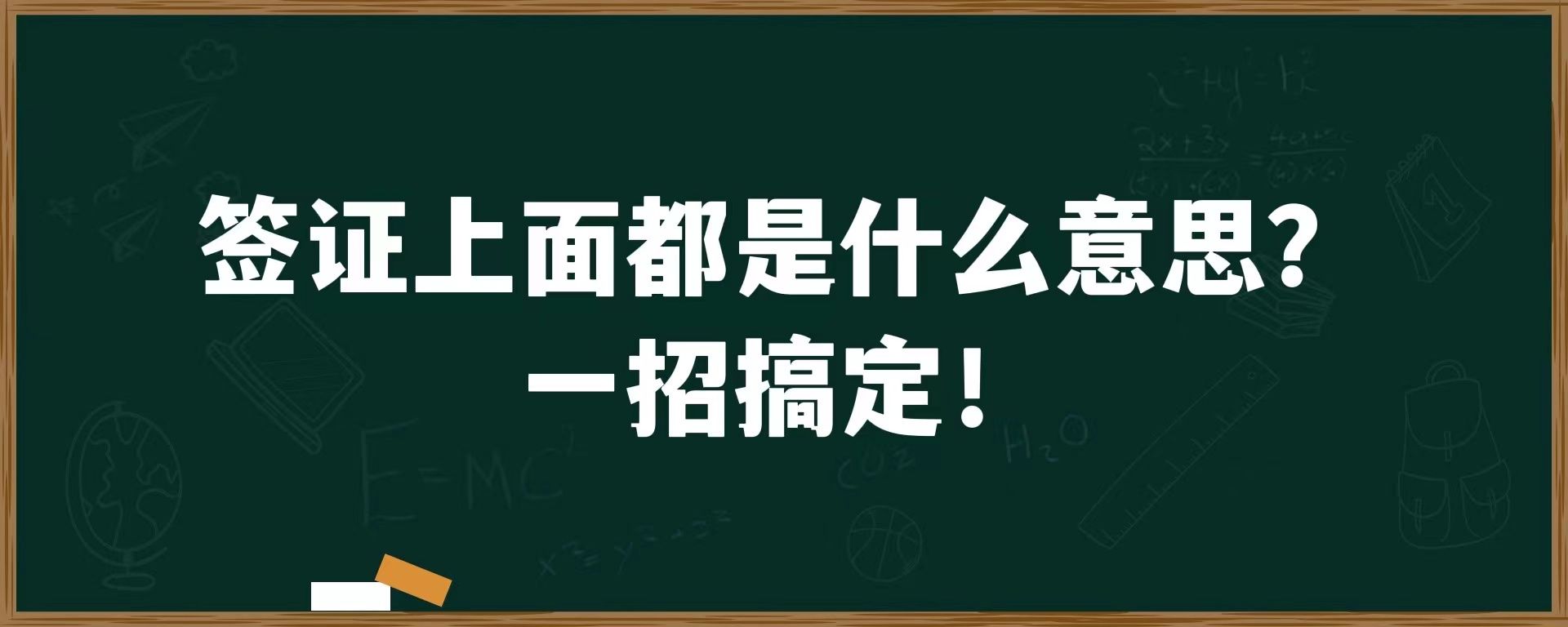 签证上面都是什么意思？一招搞定！