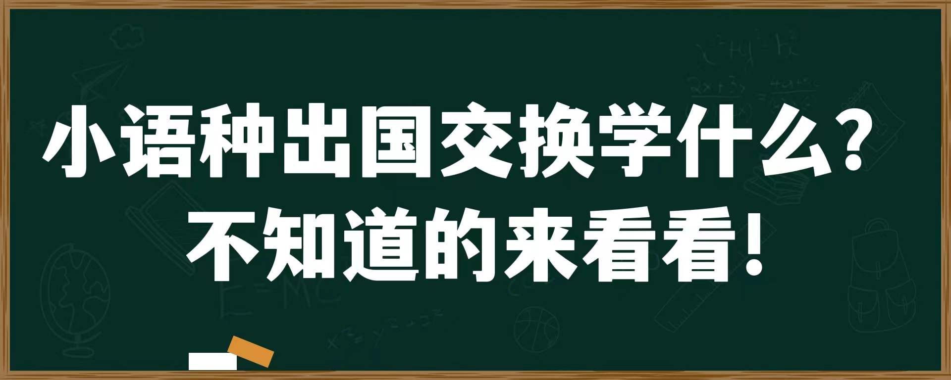 小语种出国交换学什么？不知道的来看看！