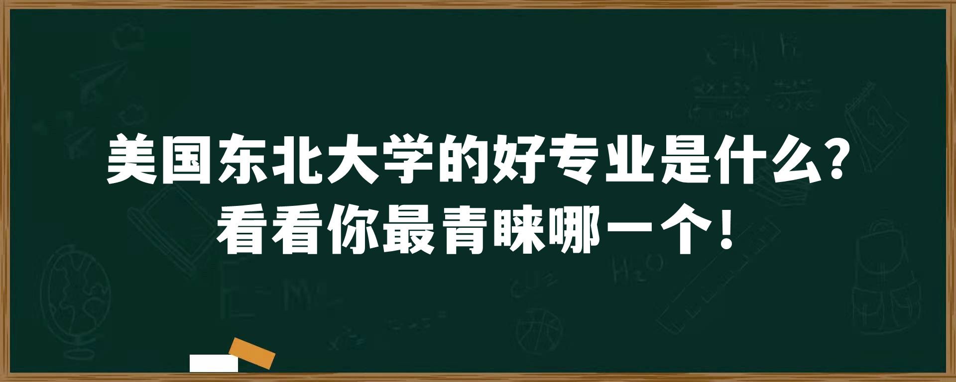 美国东北大学的好专业是什么？看看你最青睐哪一个！