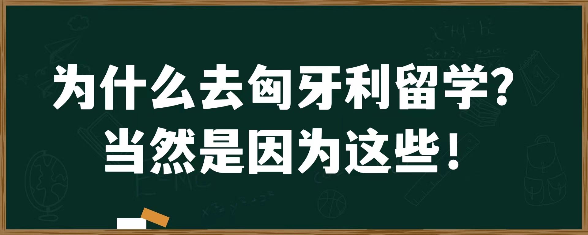 为什么去匈牙利留学？当然是因为这些！