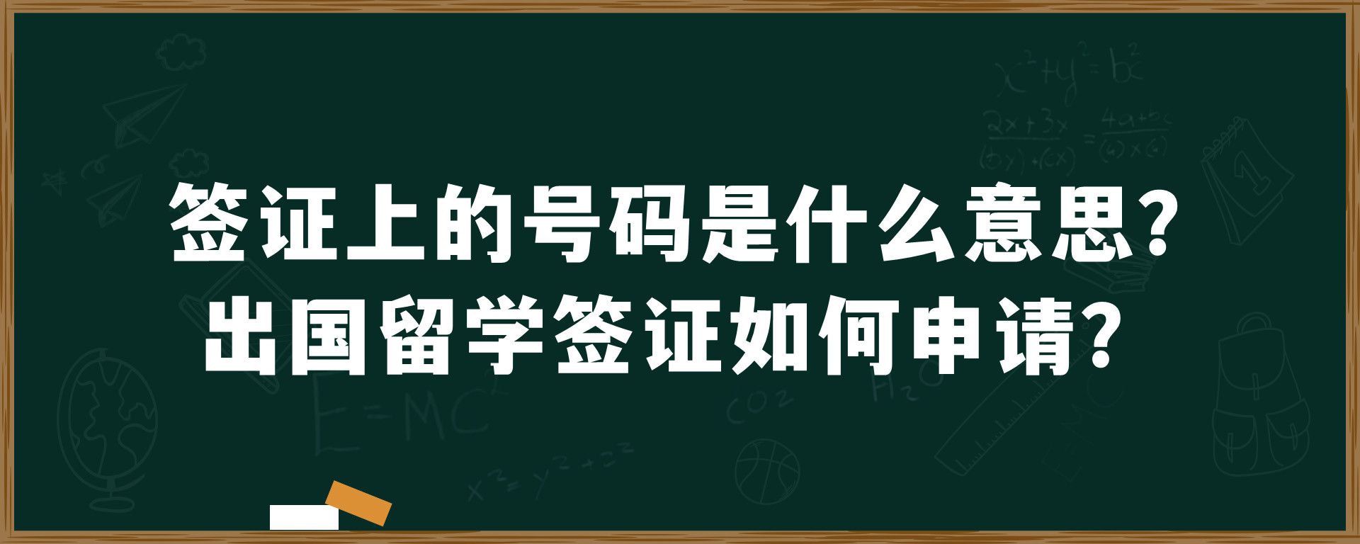 签证上的号码是什么意思？出国留学签证如何申请？