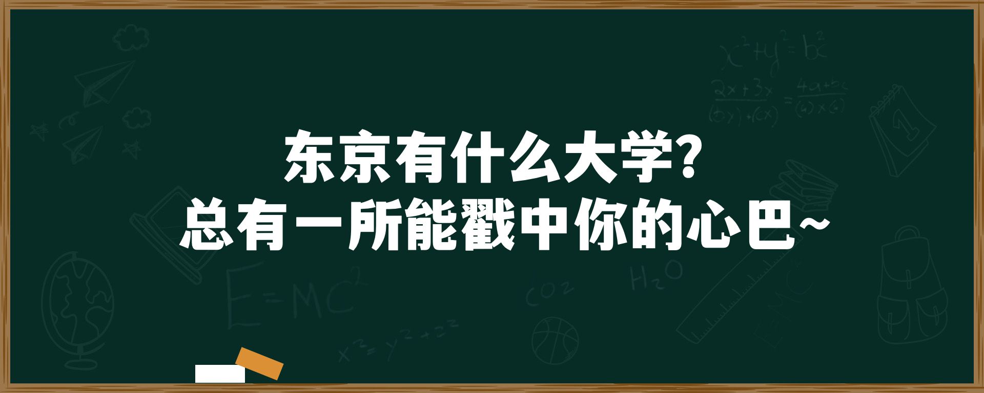 东京有什么大学？总有一所能戳中你的心巴～