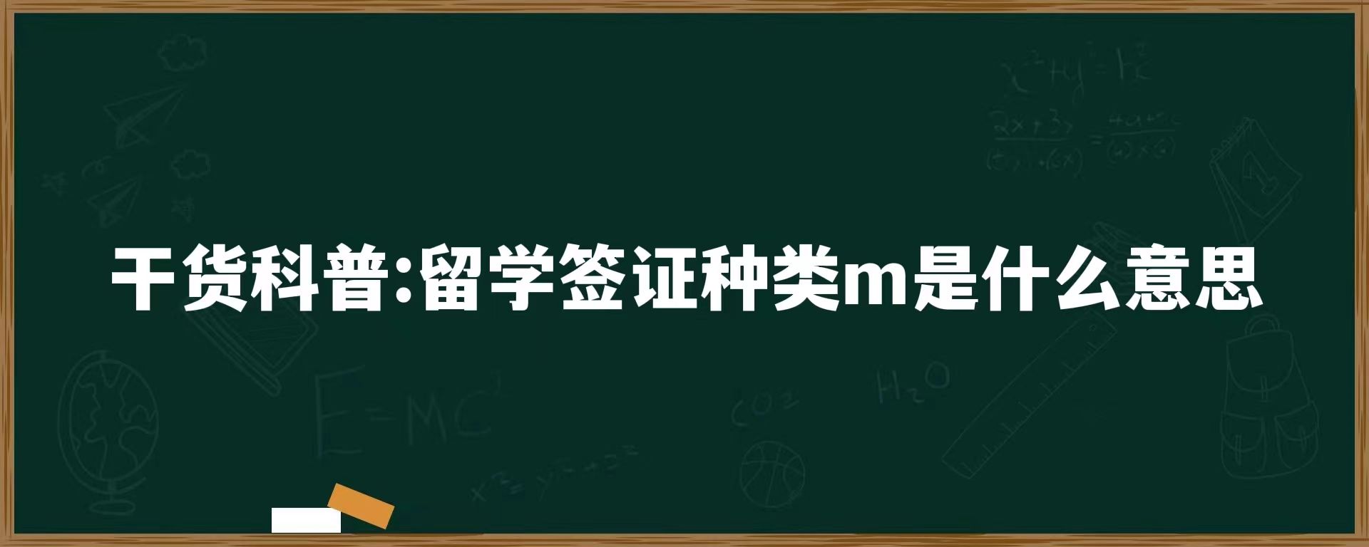 干货科普：留学签证种类m是什么意思