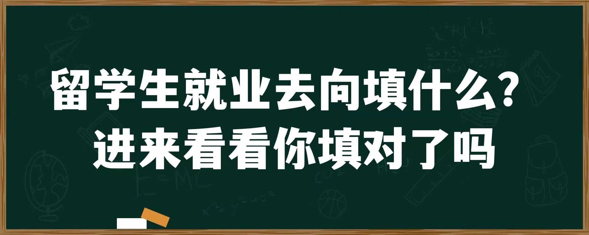 留学生就业去向填什么？进来看看你填对了吗