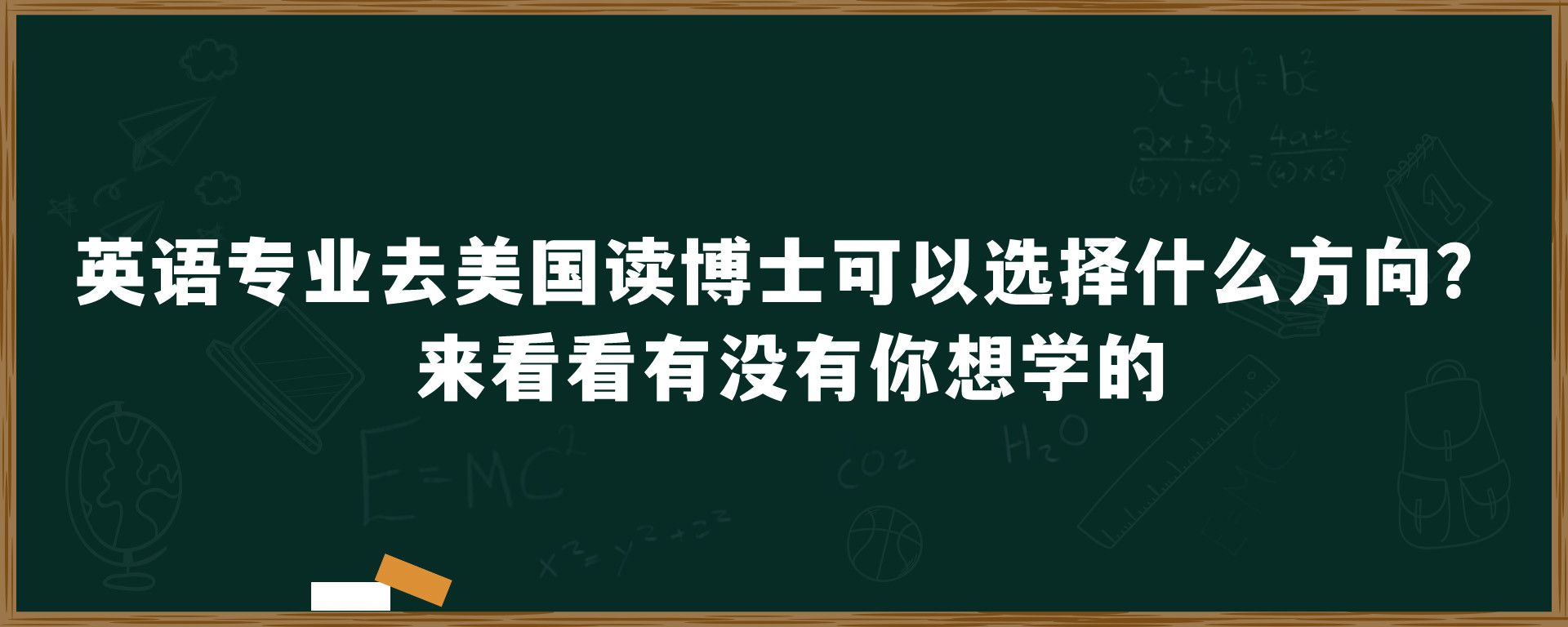 英语专业去美国读博士可以选择什么方向？来看看有没有你想学的