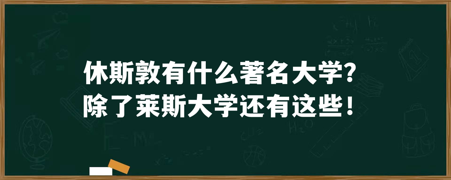 休斯敦有什么著名大学？除了莱斯大学还有这些！