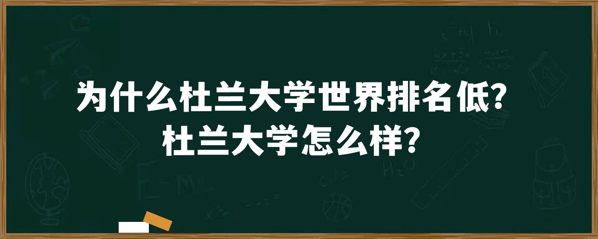 为什么杜兰大学世界排名低？杜兰大学怎么样？