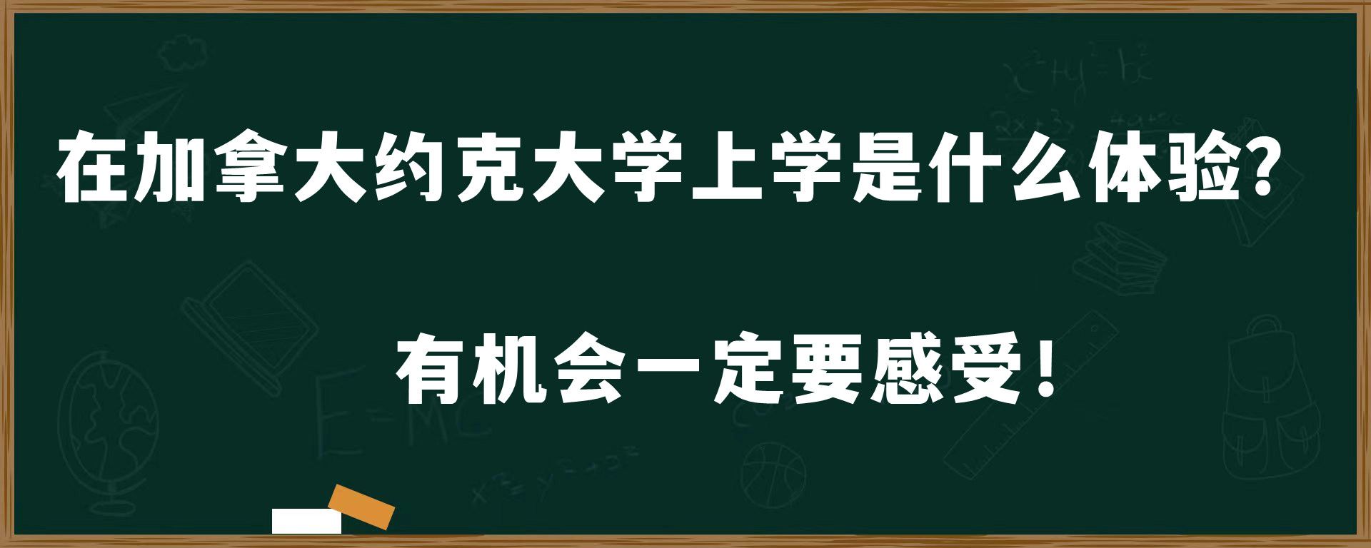 在加拿大约克大学上学是什么体验？有机会一定要感受！