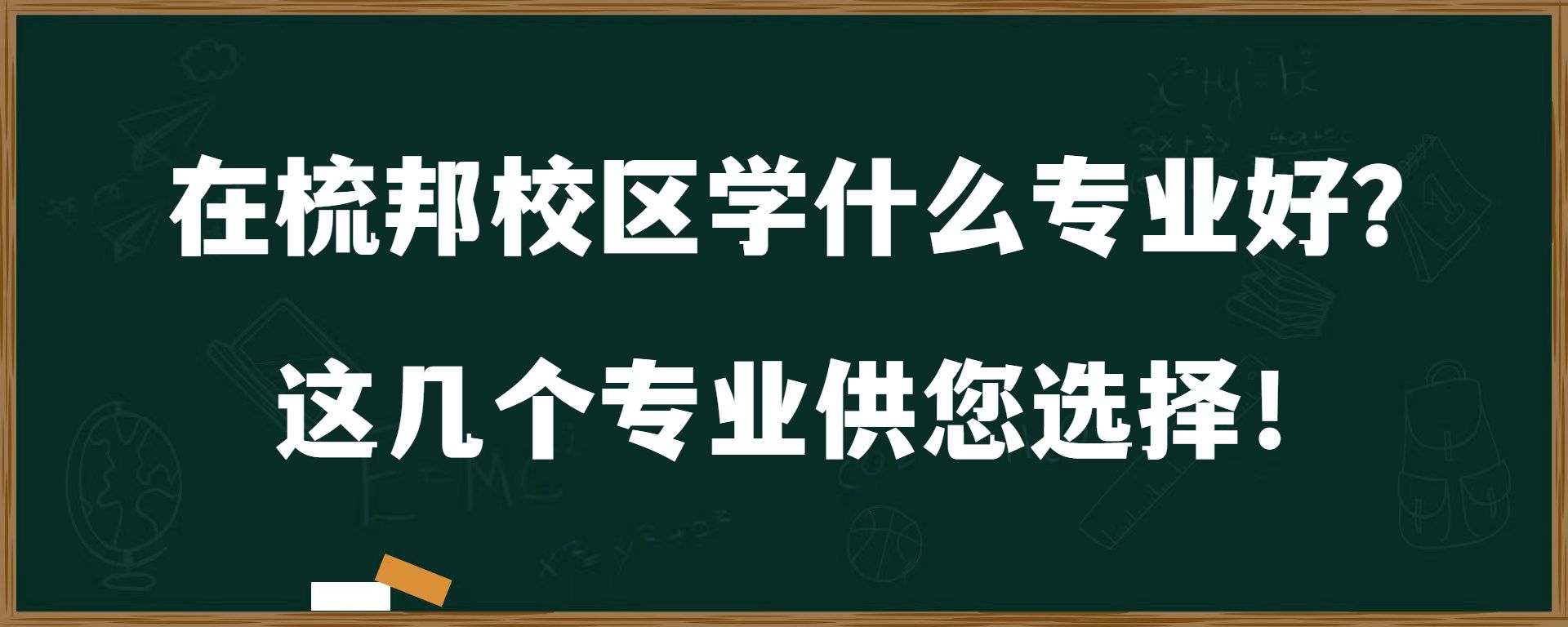 在梳邦校区学什么专业好？这几个专业供您选择！