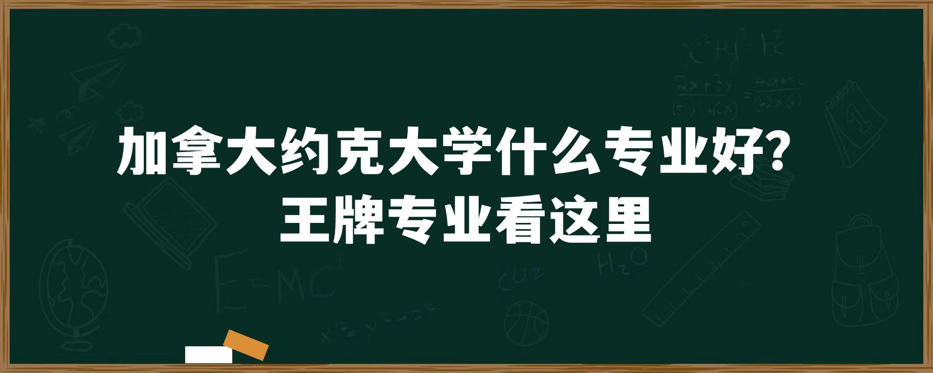 加拿大约克大学什么专业好？王牌专业看这里