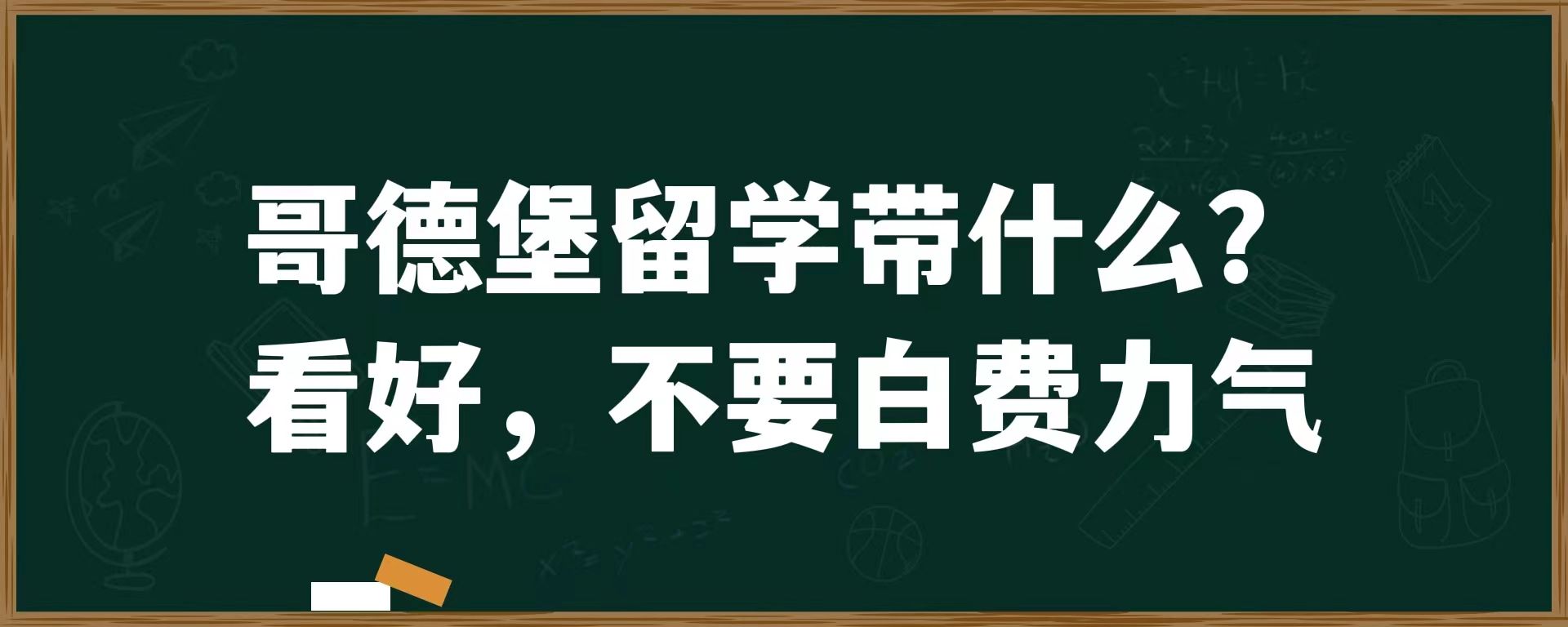 哥德堡留学带什么？看好，不要白费力气