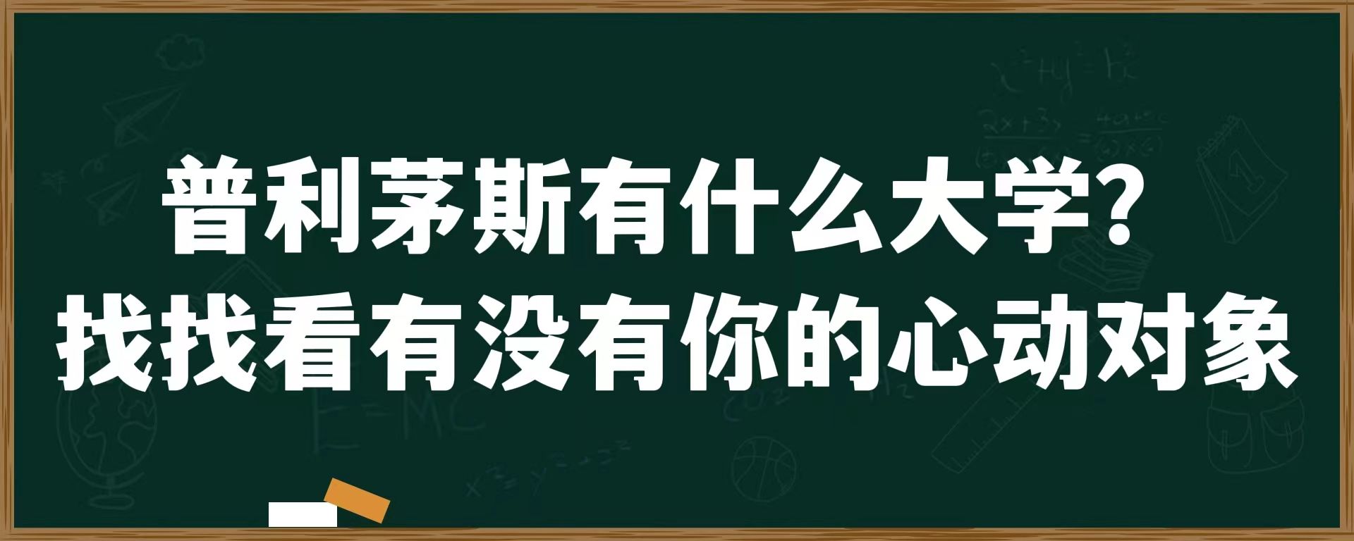 普利茅斯有什么大学？找找看有没有你的心动对象