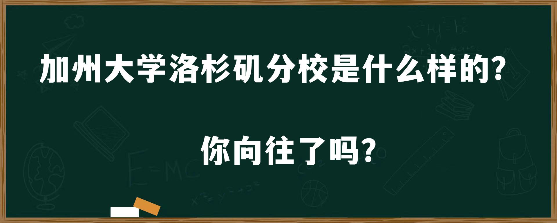 加州大学洛杉矶分校是什么样的？你向往了吗？