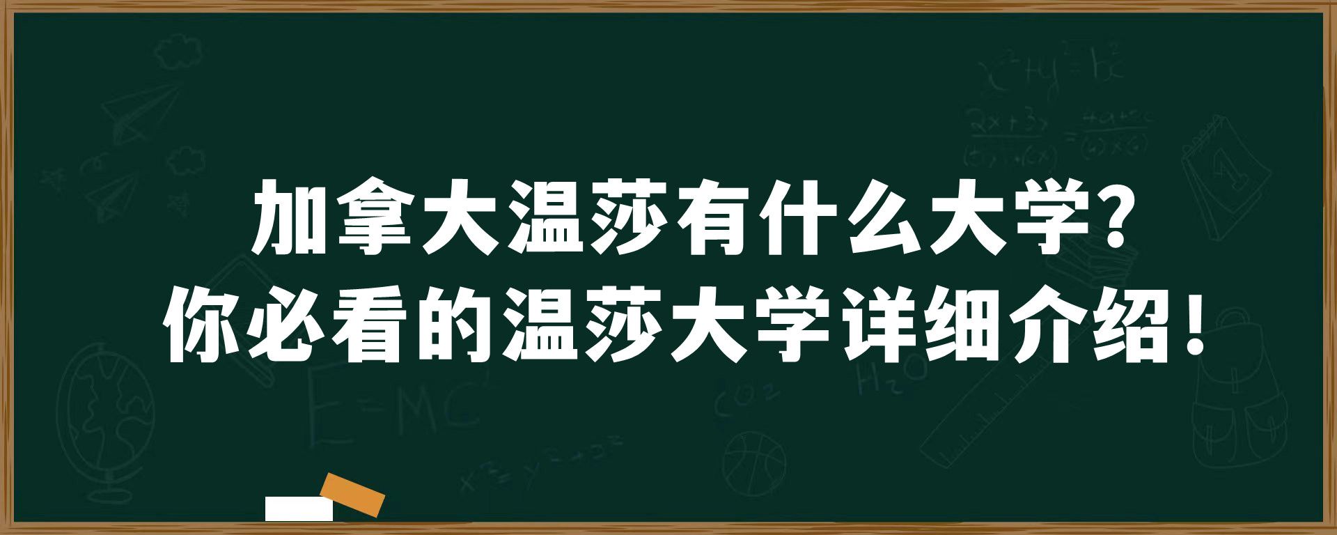 加拿大温莎有什么大学？你必看的温莎大学详细介绍！