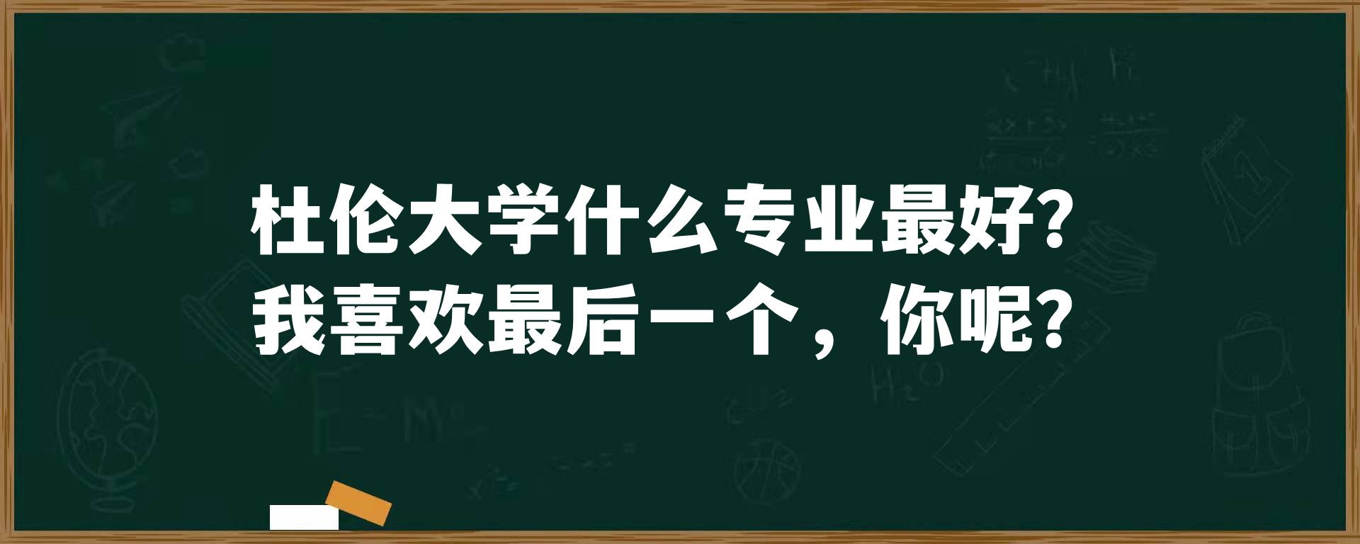 杜伦大学什么专业最好？我喜欢最后一个，你呢？