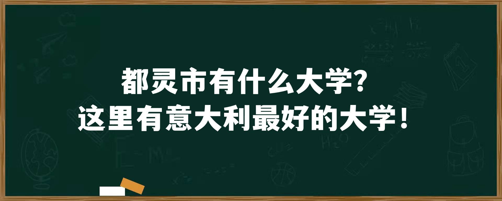 都灵市有什么大学？这里有意大利最好的大学！