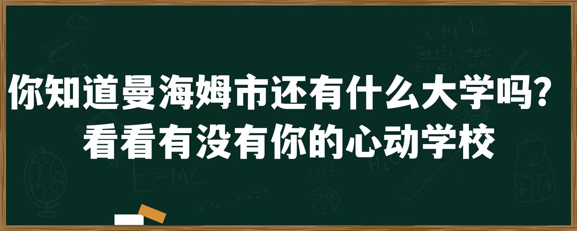 你知道曼海姆市还有什么大学吗？看看有没有你的心动学校