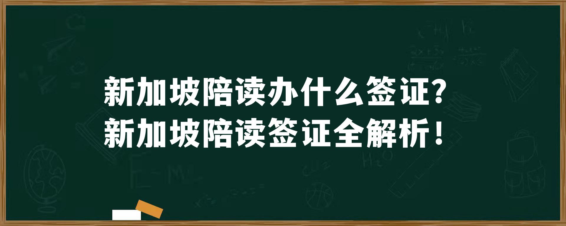 新加坡陪读办什么签证？新加坡陪读签证全解析！