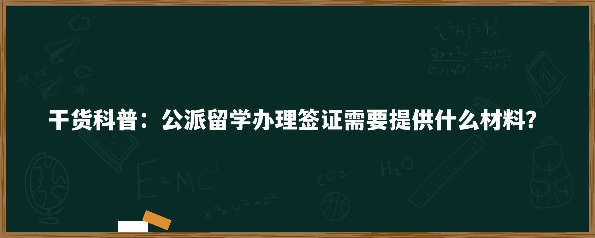 干货科普：公派留学办理签证需要提供什么材料？