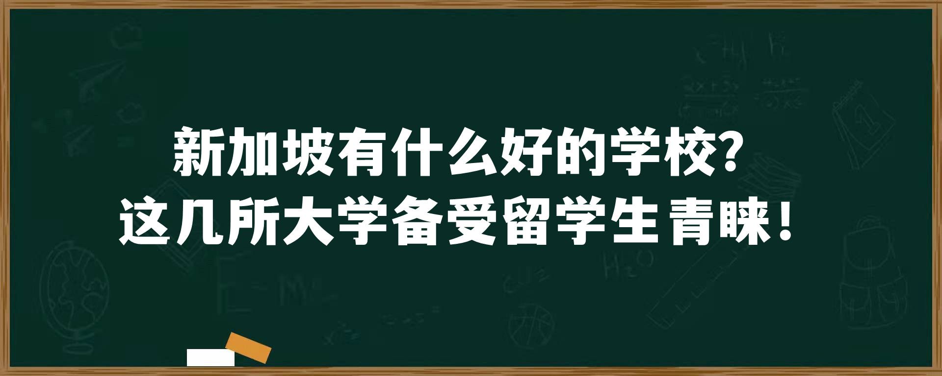 新加坡有什么好的学校？这几所大学备受留学生青睐！